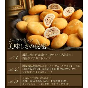 プチギフト キャンディコートピーカンナッツチョ...の詳細画像4