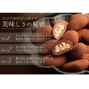 WEB限定 大容量ココアがけピーカンナッツチョ...の詳細画像3