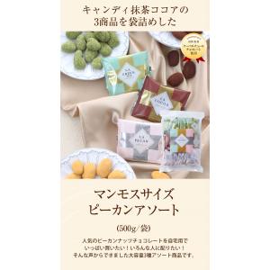 ホワイトデー お返し マンモスサイズピーカンア...の詳細画像2