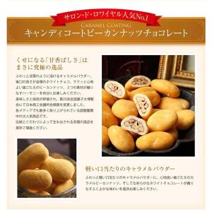 ラ・ラ・ラ ピーカン&ココアがけピーカン(32...の詳細画像5