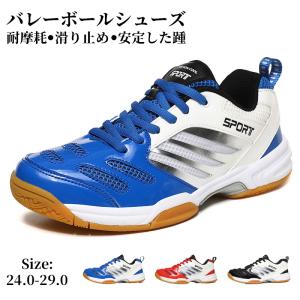 バレーボールシューズ メンズレディース スポーツ...の商品画像