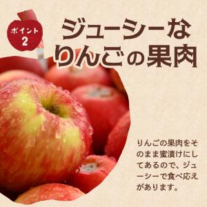 りんごチョコの商品一覧 通販 Yahoo ショッピング