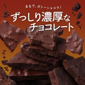 割れチョコ チョコレート 幸せガトーショコラ ...の詳細画像1