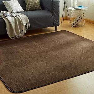 VK Living カーペット ラグ ラグマット 絨毯 200×250cm 洗える 滑り止め付 防ダニ 抗菌 防臭 1年中使えるタイ