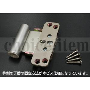 DAIKEN 大建工業 リビングドア オプションピボット丁番セット塗装