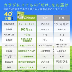 グラスフェッド ホエイプロテイン 抹茶 1kg...の詳細画像5