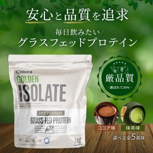 【価格改定8/10〜】WPI アイソレート グ...の詳細画像1