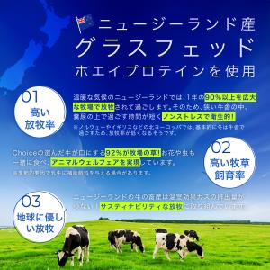【価格改定8/10〜】WPI アイソレート グ...の詳細画像3