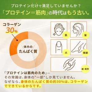 コラーゲン イン プロテイン ココア 600g...の詳細画像2