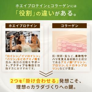 コラーゲン イン プロテイン ココア 600g...の詳細画像3