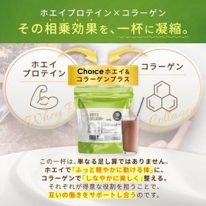 コラーゲン イン プロテイン ココア 600g...の詳細画像4