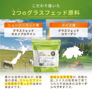 コラーゲン イン プロテイン ココア 600g...の詳細画像5