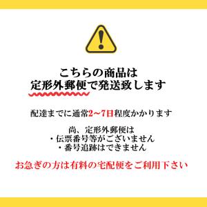 ノルディカニッセ お座りねんねサンタ サイレン...の詳細画像5