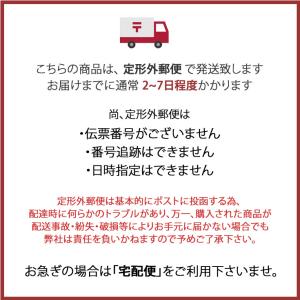 定形外送料無料 フィールドワーク ass171...の詳細画像5