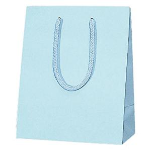 ヘイコー 手提 紙袋 プレーンチャームバッグ 20-12 ミズ 20x12x25cm 10枚