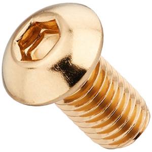 ポッシュ ボタンキャップボルト ステンレス 24金メッキ 2個入 M8X15 810830-015