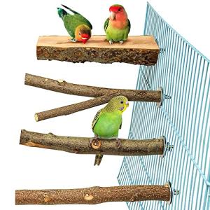 インコ とまり木 インコ 止まり木 4点セット 鳥用品 自然木 パーチ 爪を研ぎ 爪を磨く 鳥 爪切り 鳥スタンド 枝 インコ おもちゃ 噛むおもちゃ