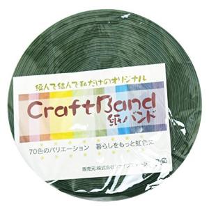 紺屋商事 24 /1 クラフトバンド(紙バンド) Bグリーン 10m RAP00000241