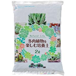 自然応用科学 多肉植物を楽しむ培養土 2L 室内向け 水はけが良い