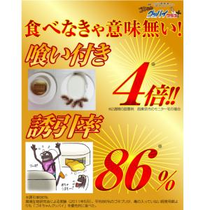 3パックセット ゴキブリ駆除剤 医薬部外品 ゴ...の詳細画像3