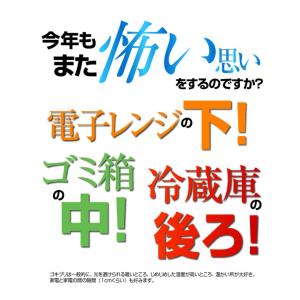 3パックセット ゴキブリ駆除剤 医薬部外品 ゴ...の詳細画像4