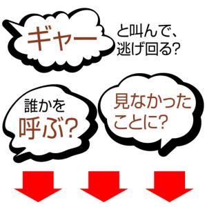 3パックセット ゴキブリ駆除剤 医薬部外品 ゴ...の詳細画像5