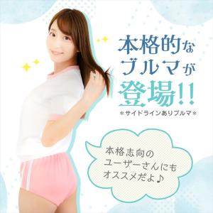 ブルマ ラインあり 本格的 スクール 体操服 ...の詳細画像1