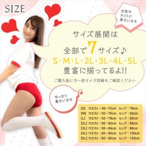 ブルマ ラインなし 無地 本格的 スクール 体...の詳細画像4