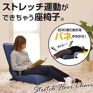 座椅子 ストレッチ 日本製 座いす リクライニング座椅子 フロアチェア 背筋運動 ストレッチ座椅子 リクライニング 42段階 はっ水加工 背筋が伸びる グロウ