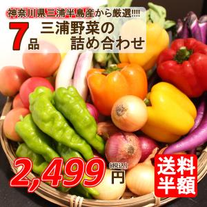 三浦半島直送 おまかせ 神奈川県産野菜セット 7品 旬の野菜詰め合せ お任せ野菜詰め合わせ 野菜盛り合わせ 神奈川県三浦半島産 送料半額｜chokubai