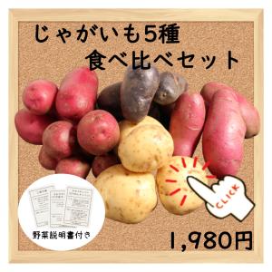 三浦野菜 じゃがいも 5種類 食べ比べセット 野菜詰め合わせ 合計2.5kg 送料半額 東日本 神奈川県産｜chokubai