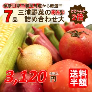 三浦半島直送 訳あり おまかせ 神奈川県産野菜セット ２倍でお得 7品 旬の野菜詰め合せ お任せ野菜詰め合わせ 野菜盛り合わせ 送料半額｜chokubai