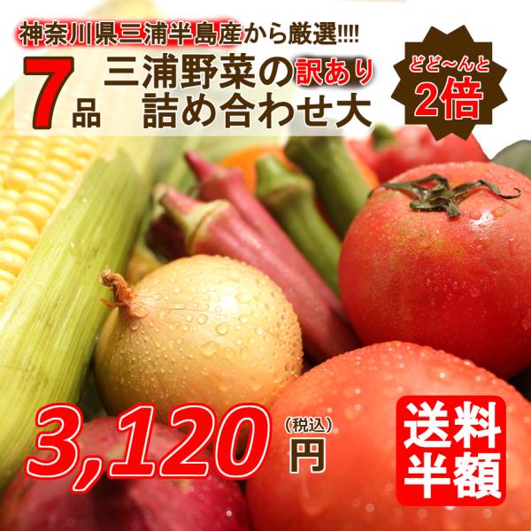 三浦半島直送 訳あり おまかせ 神奈川県産野菜セット ２倍でお得 7品 旬の野菜詰め合せ お任せ野菜...