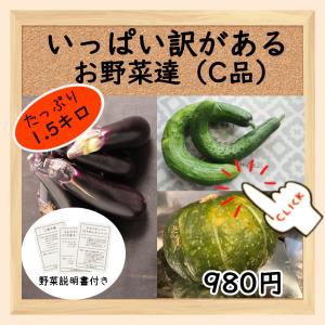 三浦野菜 訳あり品よりも訳がある(C品）お野菜詰め合わせ 3種~ 1.5kg以上 送料半額 東日本 神奈川県産