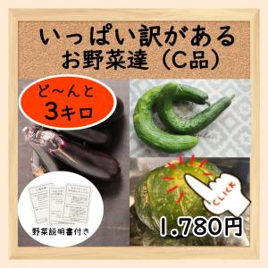 三浦野菜 訳あり品よりも訳がある(C品）お野菜詰め合わせ 3種~ 3kg以上 送料半額 東日本 神奈川県産｜chokubai