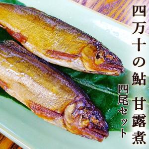 四万十川の鮎 あゆ 甘露煮 ４尾 約55g/尾 高知県四万十町産 炭火無煙燻製仕上げ 甘さひかえめ 焼鮎の四万十煮｜chokuhan