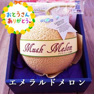 メロン ギフト エメラルドメロン 1玉 約1.3kg 化粧箱入 高級マスク