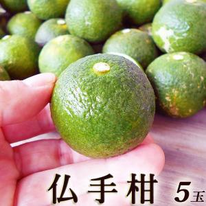 仏手柑 ぶしゅかん 5玉 高知産 土佐の酢みかん ご家庭用
