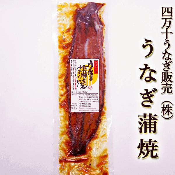 あす着く ギフト うなぎ 蒲焼き 国産 四万十うなぎ（株） うなぎ蒲焼 約150g 特大一尾まるごと...
