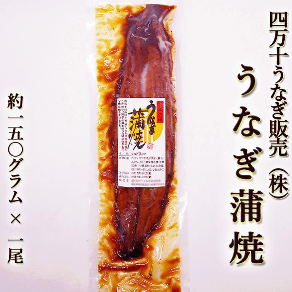 うなぎ蒲焼き 四万十うなぎ（株） 約150g 特大一尾まるごと 高知産 うなぎ ウナギ 鰻 蒲焼き ...