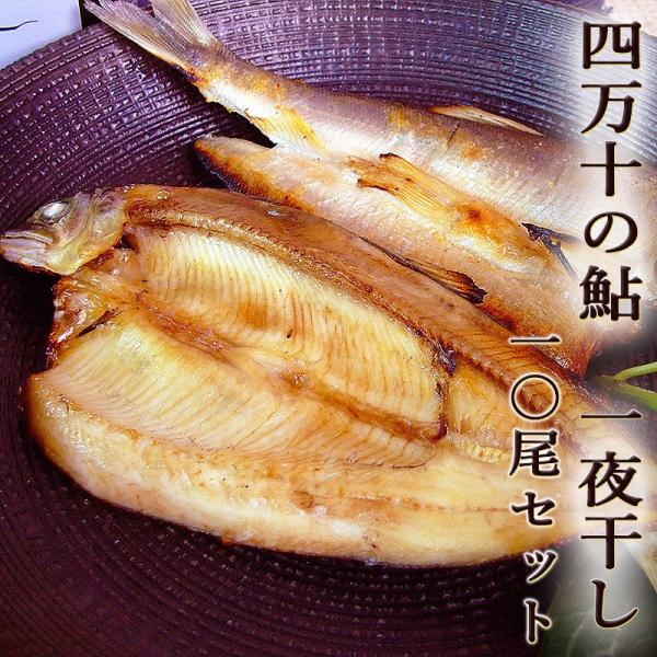 四万十の鮎 あゆ 一夜干し 10尾 四万十町産 低塩仕上げ 無添加 鮎の一夜干し アユ  養殖 四万...