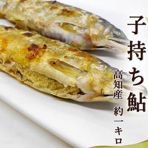 子持ち鮎 約1kg 高知産 10尾前後 送料無料 国産 養殖 子持ちあゆ 香魚 塩焼き 甘露煮 たまごがぎっしり 鮎 アユ ギフト プレゼント お中元 お歳暮｜chokuhan