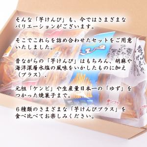 いもけんぴ 芋けんぴプラスAセット 6種類 送...の詳細画像3