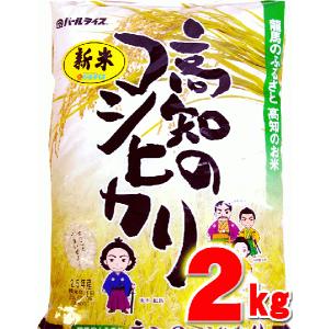 コシヒカリ 令和7年 こしひかり 5kg 高知県産 令和7年産 精米 お米