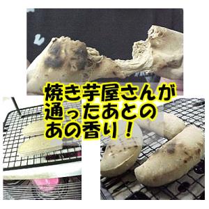 かんばもち いも餅 500g 棒タイプ 高知産...の詳細画像1