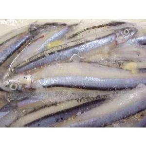 冷凍きびなご 業務用の商品一覧 通販 Yahoo ショッピング