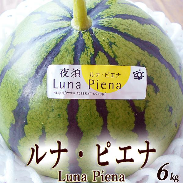 すいか ルナ・ピエナ 高級すいか 大玉約6kg 送料無料 高知県夜須町産 糖度検査済 南国土佐の高級...