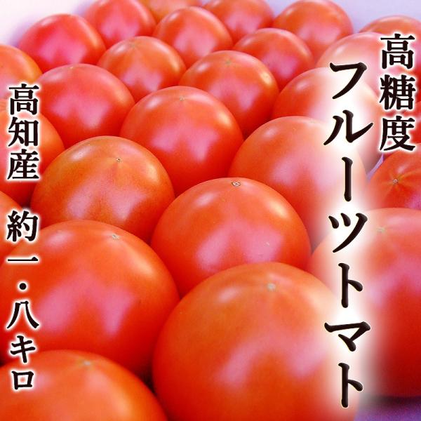 トマト 高糖度フルーツトマト 約1.8kg 高知県夜須町産 ご家庭用 送料無料 高糖度 糖度8度以上...