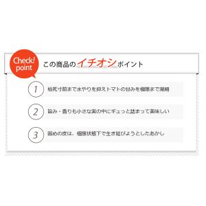 トマト 高糖度フルーツトマト 1kg ご家庭用...の詳細画像2