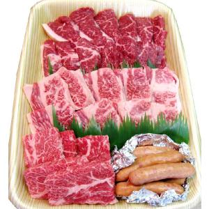 土佐あかうし 土佐和牛 ロース・カルビ・モモの焼肉セット